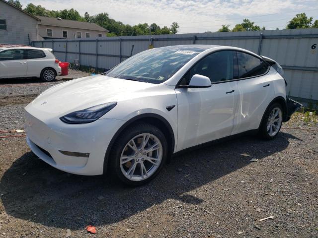 TESLA MODEL Y 2021 5yjygdee1mf200001