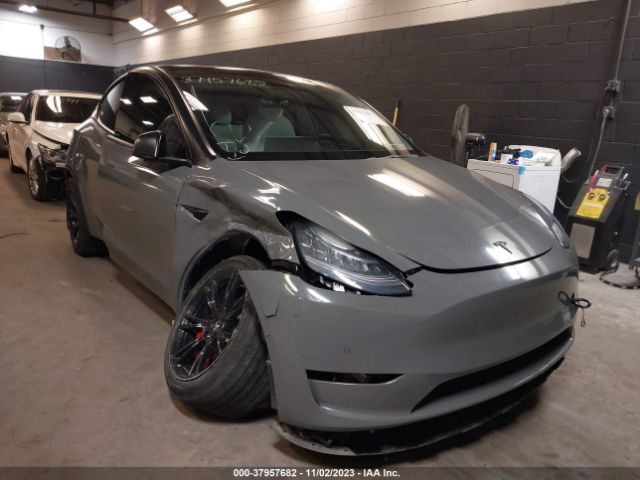 TESLA MODEL Y 2021 5yjygdee1mf224461