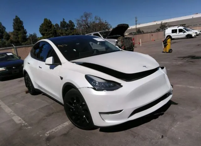 TESLA MODEL Y 2021 5yjygdee1mf231961