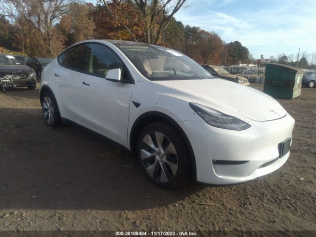 TESLA MODEL Y 2021 5yjygdee1mf266256