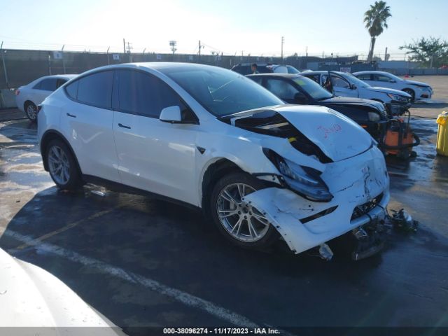 TESLA MODEL Y 2021 5yjygdee1mf271361