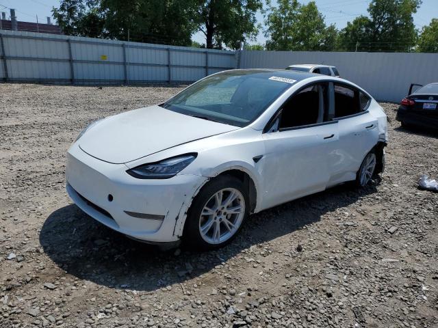 TESLA MODEL Y 2021 5yjygdee1mf299774