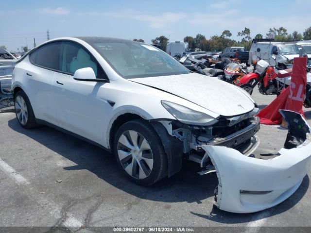 TESLA MODEL Y 2021 5yjygdee1mf306156