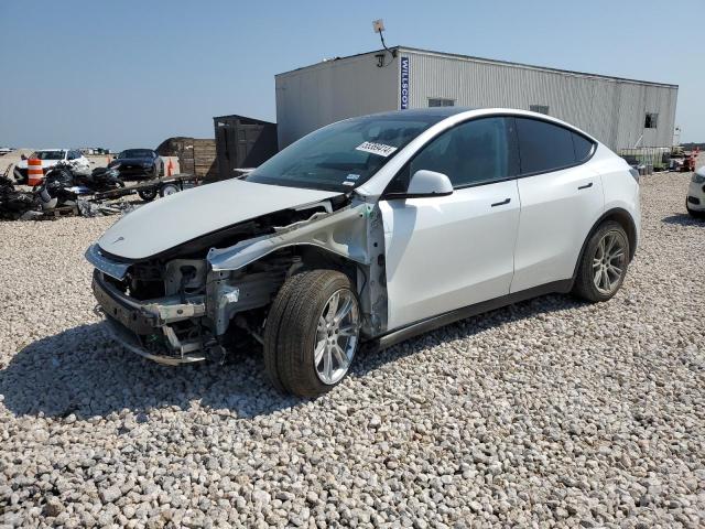 TESLA MODEL Y 2020 5yjygdee2lf013526