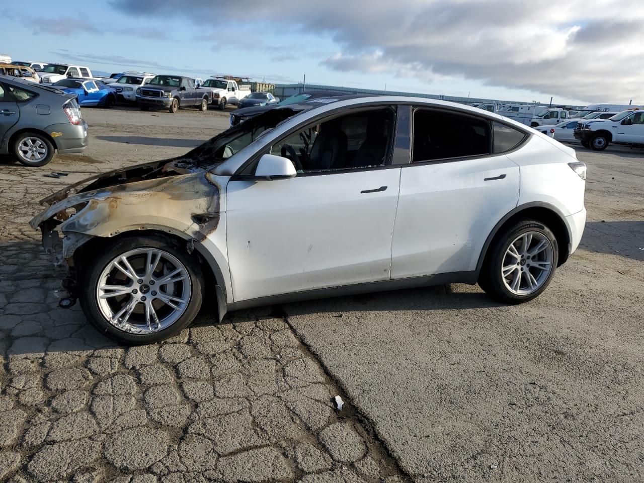 TESLA MODEL Y 2020 5yjygdee2lf013753