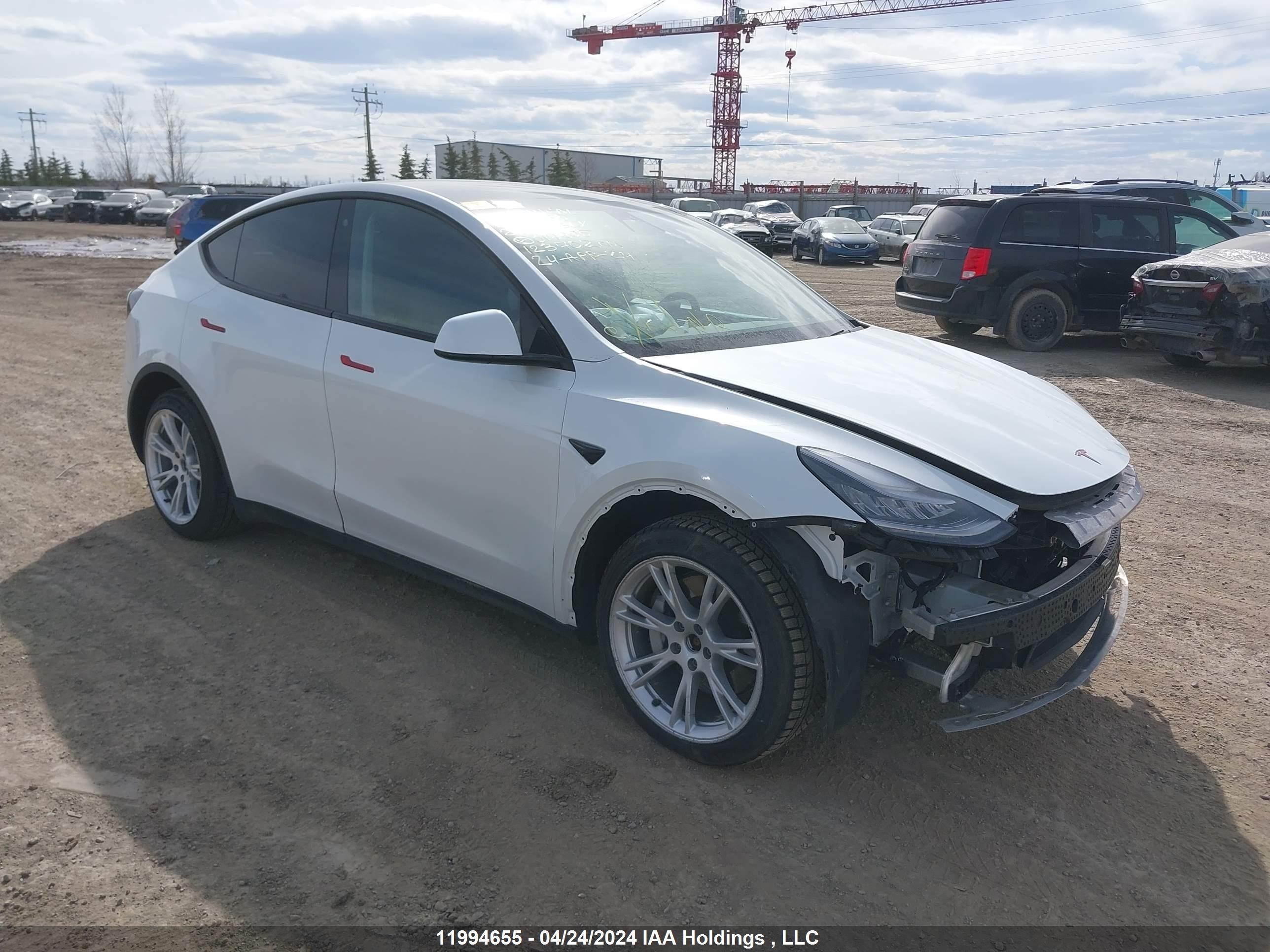 TESLA MODEL Y 2020 5yjygdee2lf017205