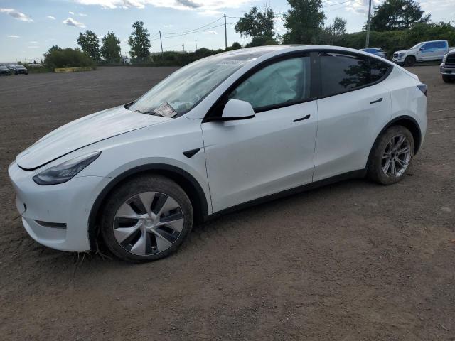 TESLA MODEL Y 2020 5yjygdee2lf026213