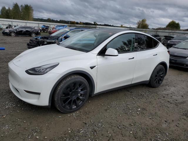 TESLA MODEL Y 2020 5yjygdee2lf029662