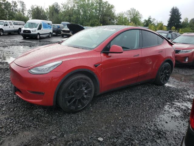 TESLA MODEL Y 2020 5yjygdee2lf059440