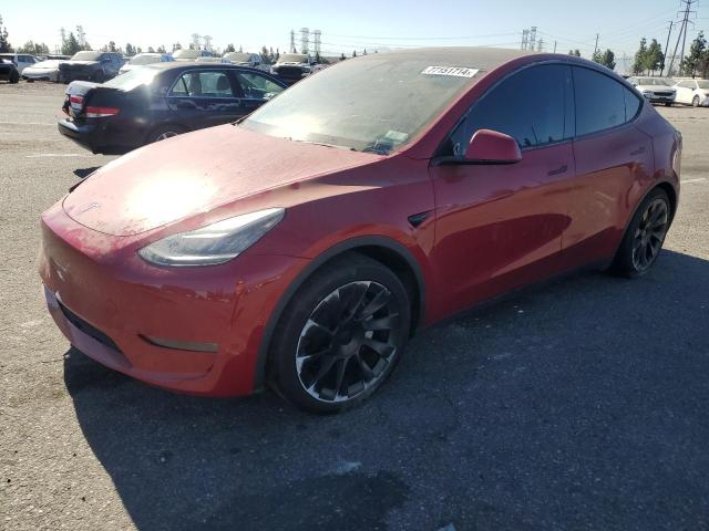 TESLA MODEL Y 2020 5yjygdee2lf059535