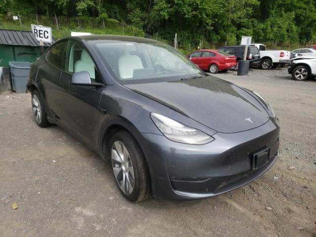 TESLA MODEL Y 2021 5yjygdee2mf074702