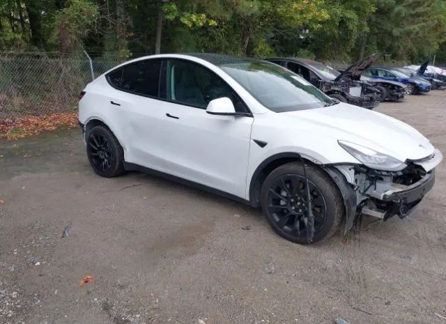 TESLA MODEL Y 2021 5yjygdee2mf074893