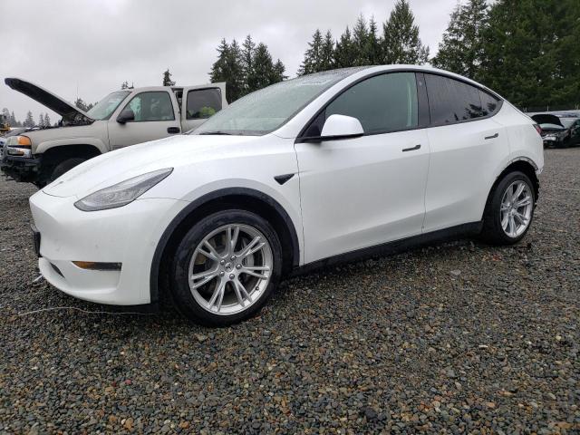 TESLA MODEL Y 2021 5yjygdee2mf086381