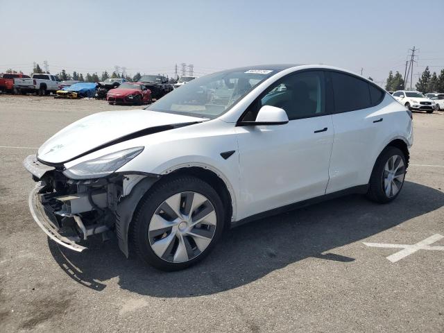 TESLA MODEL Y 2021 5yjygdee2mf095016