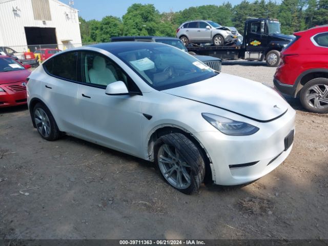 TESLA MODEL Y 2021 5yjygdee2mf182494