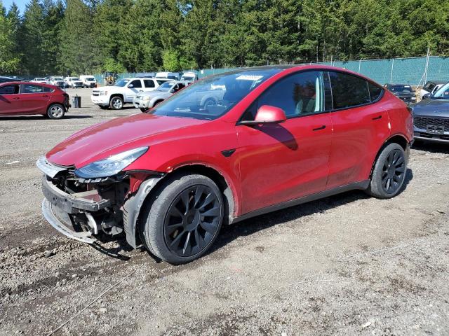 TESLA MODEL Y 2020 5yjygdee3lf008495