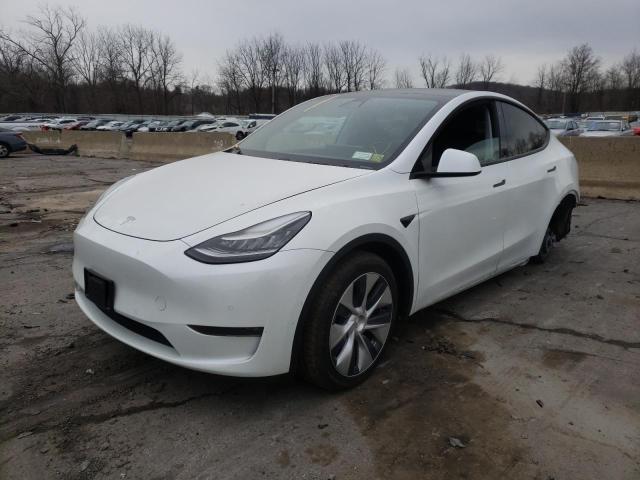 TESLA MODEL Y 2020 5yjygdee3lf017049