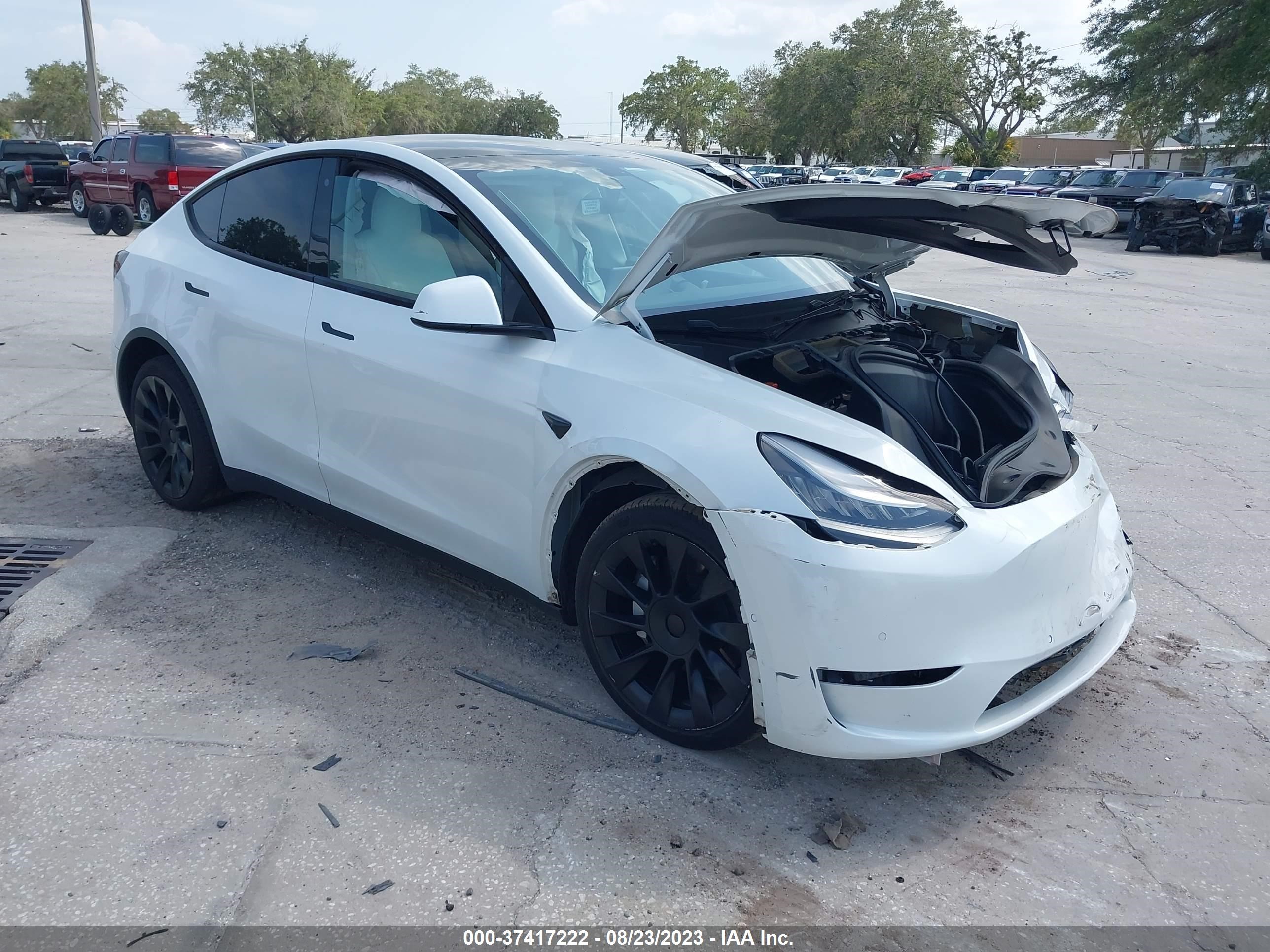 TESLA MODEL Y 2020 5yjygdee3lf021750