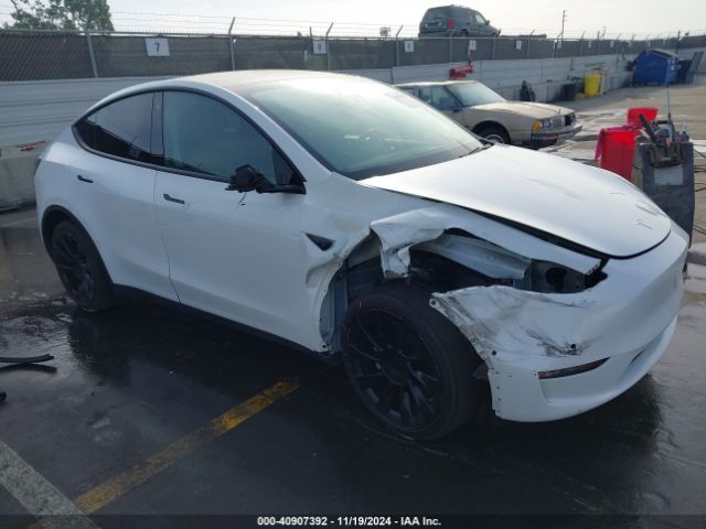 TESLA MODEL Y 2020 5yjygdee3lf033283