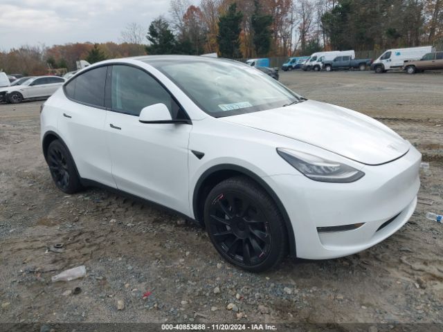 TESLA MODEL Y 2020 5yjygdee3lf049077