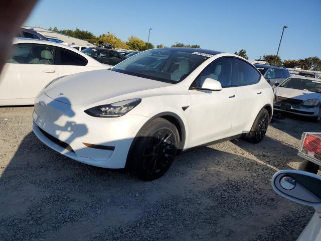 TESLA MODEL Y 2020 5yjygdee3lf056224