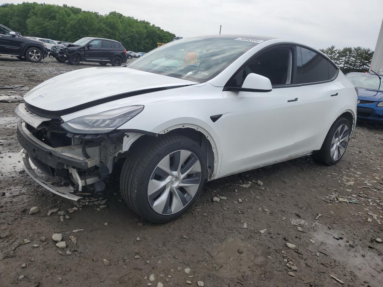 TESLA MODEL Y 2021 5yjygdee3mf065684