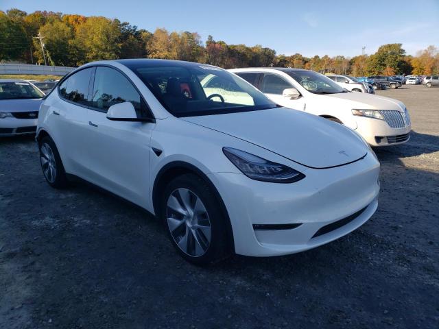 TESLA MODEL Y 2021 5yjygdee3mf082291