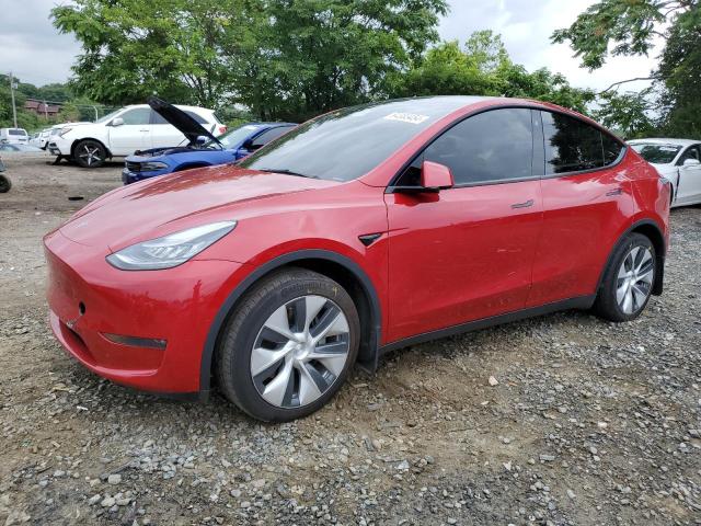 TESLA MODEL Y 2021 5yjygdee3mf086244