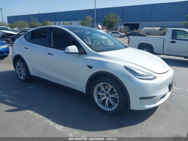 TESLA MODEL Y 2021 5yjygdee3mf090228