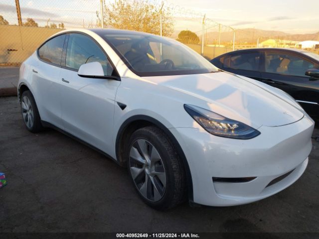 TESLA MODEL Y 2021 5yjygdee3mf090536