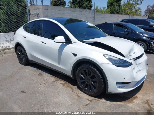 TESLA MODEL Y 2021 5yjygdee3mf092688