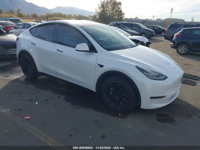 TESLA MODEL Y 2021 5yjygdee3mf098586