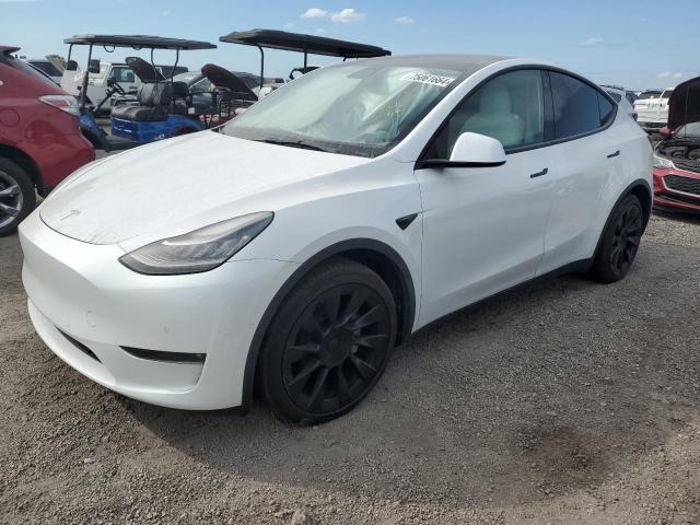 TESLA MODEL Y 2021 5yjygdee3mf144207