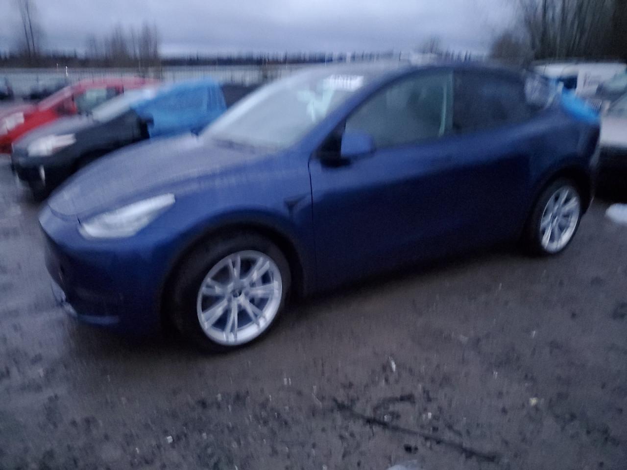 TESLA MODEL Y 2021 5yjygdee3mf153084