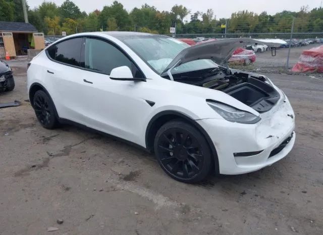 TESLA MODEL Y 2021 5yjygdee3mf184996