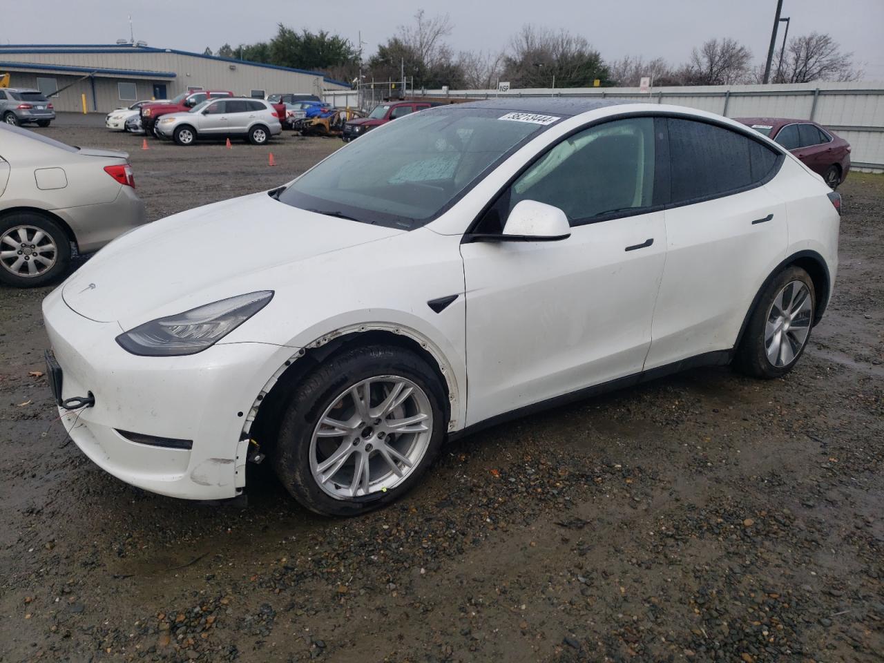 TESLA MODEL Y 2021 5yjygdee3mf191415