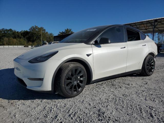 TESLA MODEL Y 2021 5yjygdee3mf193889