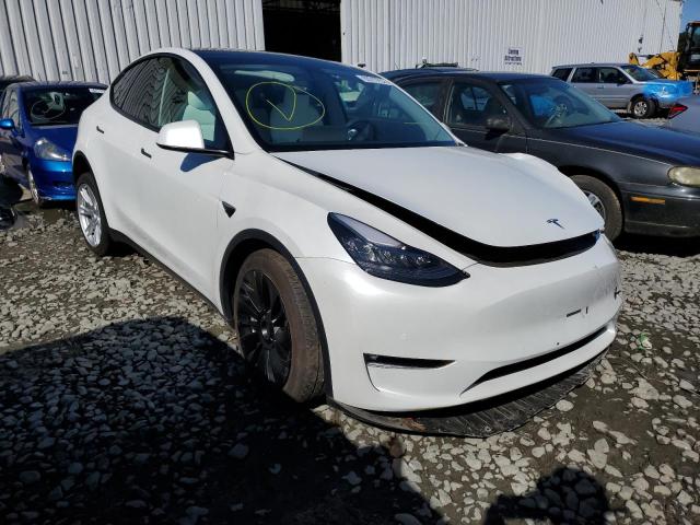 TESLA MODEL Y 2021 5yjygdee3mf249166