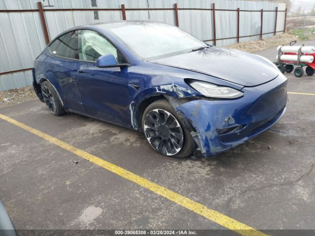 TESLA MODEL Y 2021 5yjygdee3mf255971