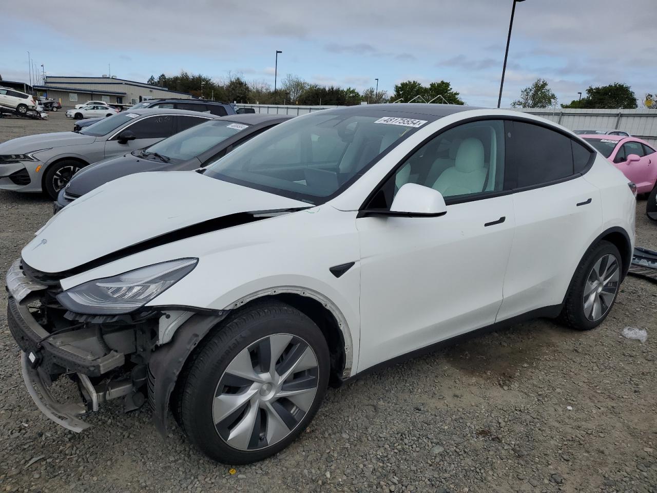 TESLA MODEL Y 2021 5yjygdee3mf276075