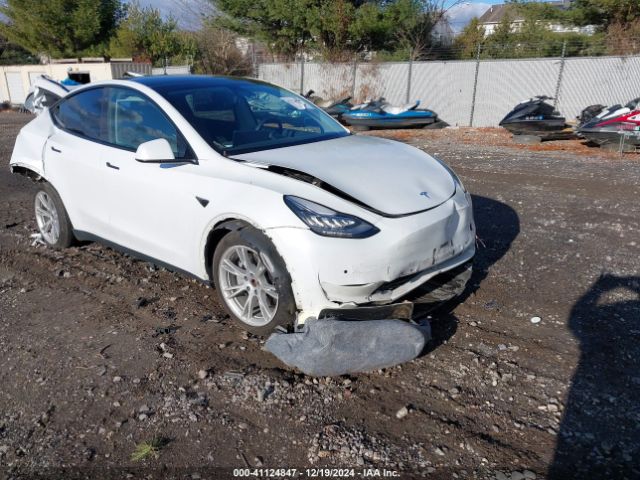 TESLA MODEL Y 2021 5yjygdee3mf299758