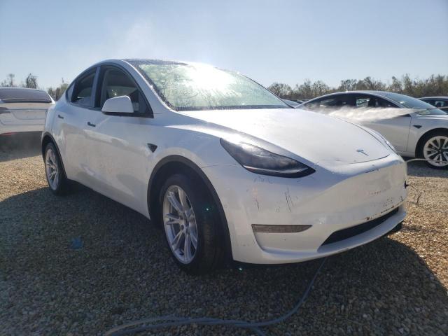 TESLA MODEL Y 2020 5yjygdee4lf039531