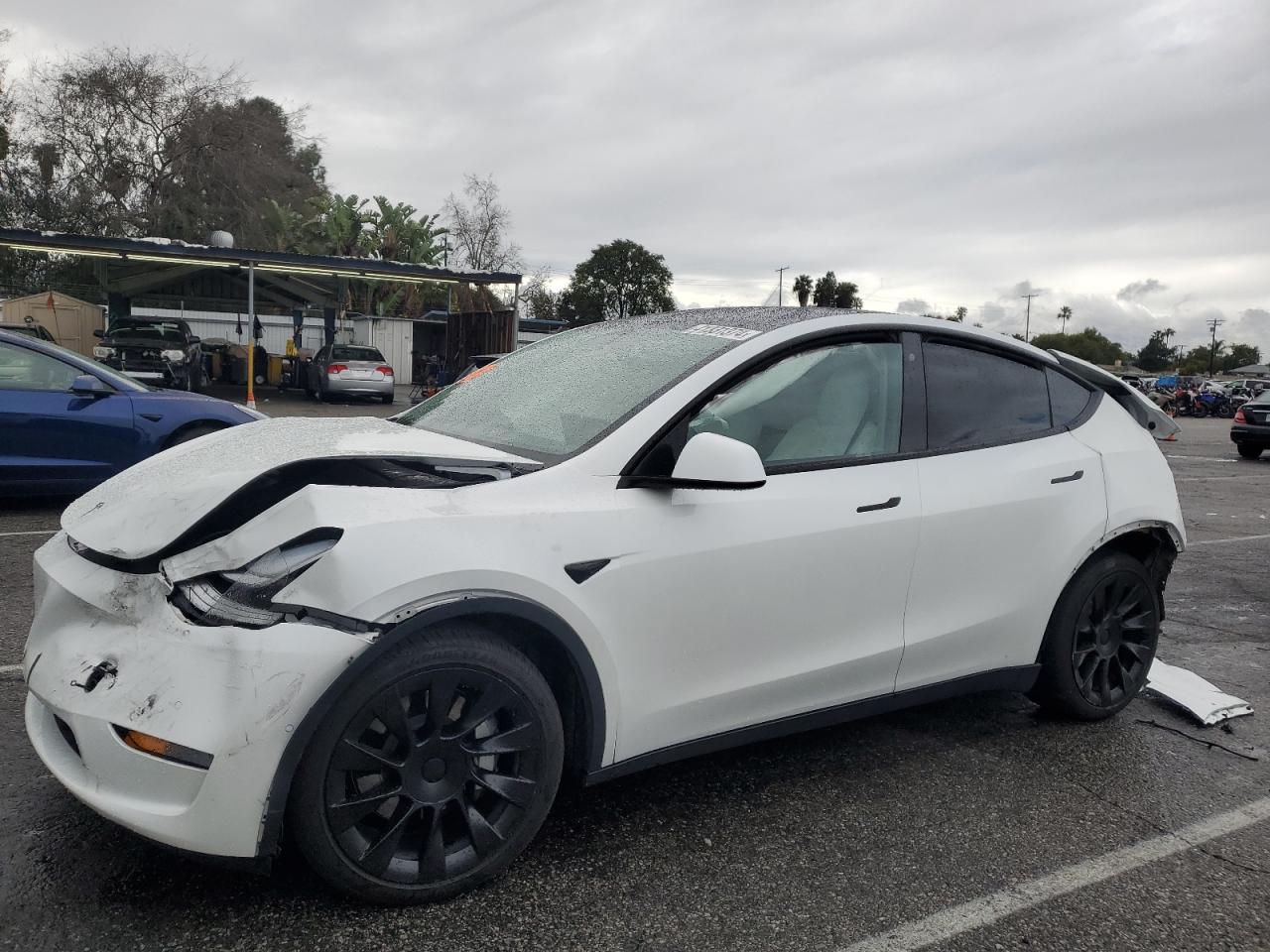 TESLA MODEL Y 2020 5yjygdee4lf055499