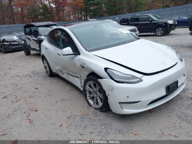 TESLA MODEL Y 2021 5yjygdee4mf077780