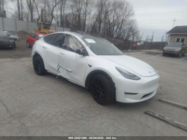 TESLA MODEL Y 2021 5yjygdee4mf081005