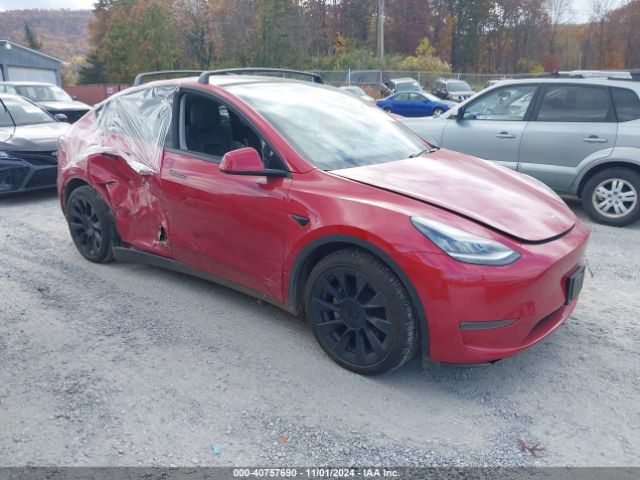 TESLA MODEL Y 2021 5yjygdee4mf085037