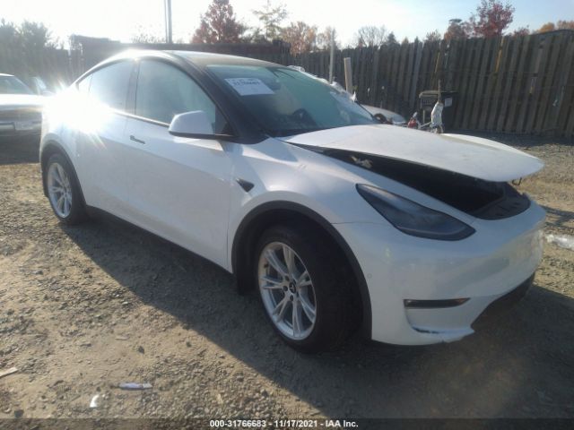 TESLA MODEL Y 2021 5yjygdee4mf146483