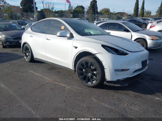 TESLA MODEL Y 2021 5yjygdee4mf151716