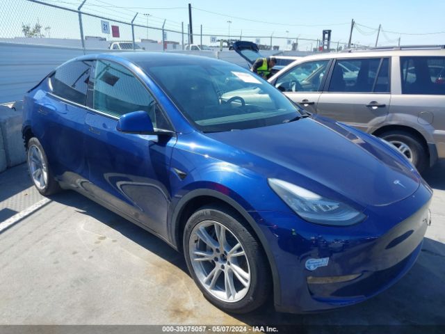 TESLA MODEL Y 2021 5yjygdee4mf181900