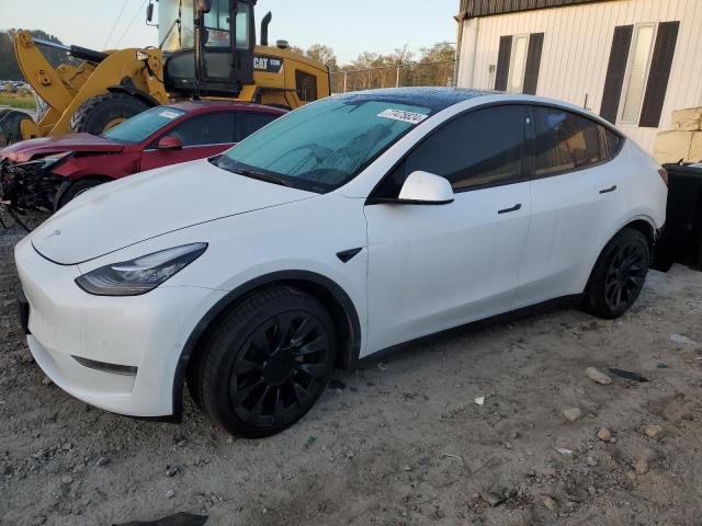 TESLA MODEL Y 2021 5yjygdee4mf191973